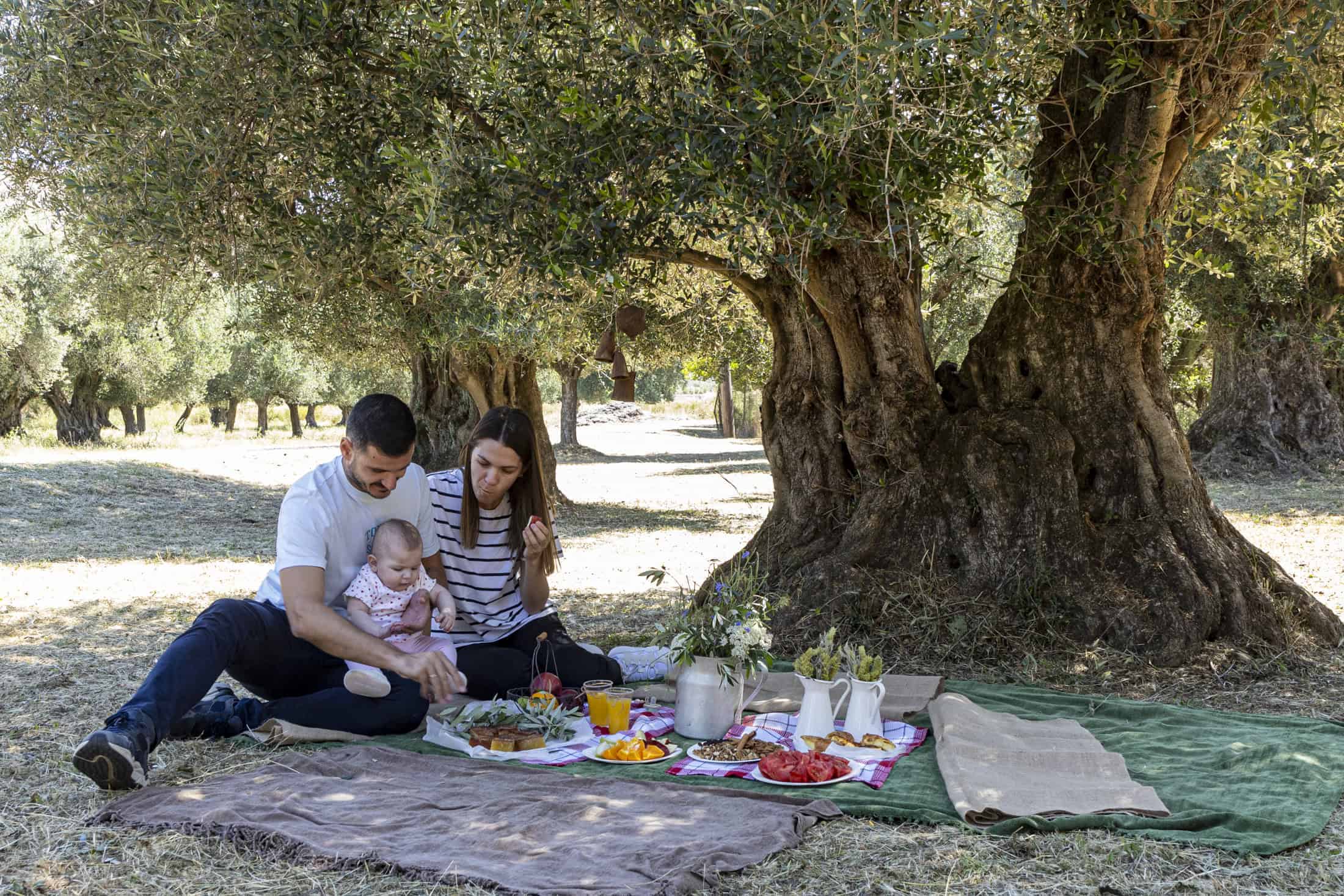 OLIVE GROVE PICNIC MAY 2025